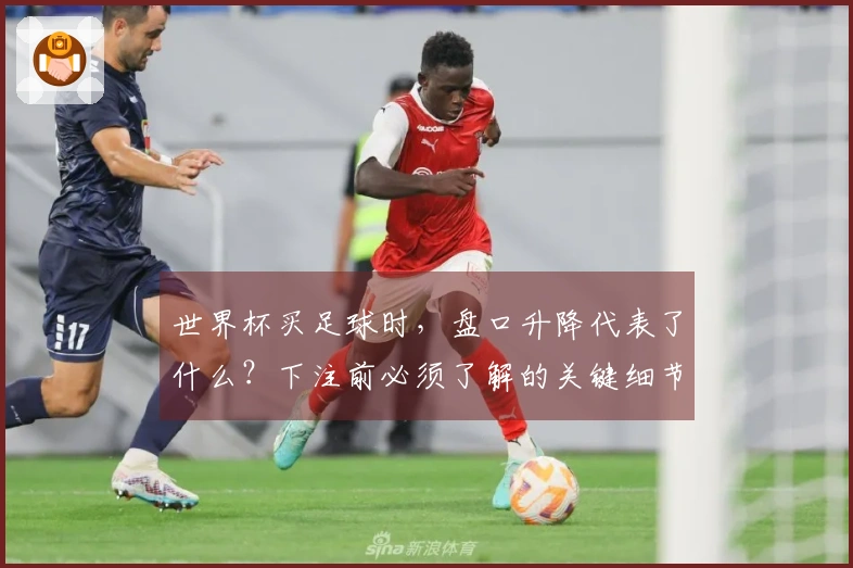 世界杯买足球时，盘口升降代表了什么？下注前必须了解的关键细节